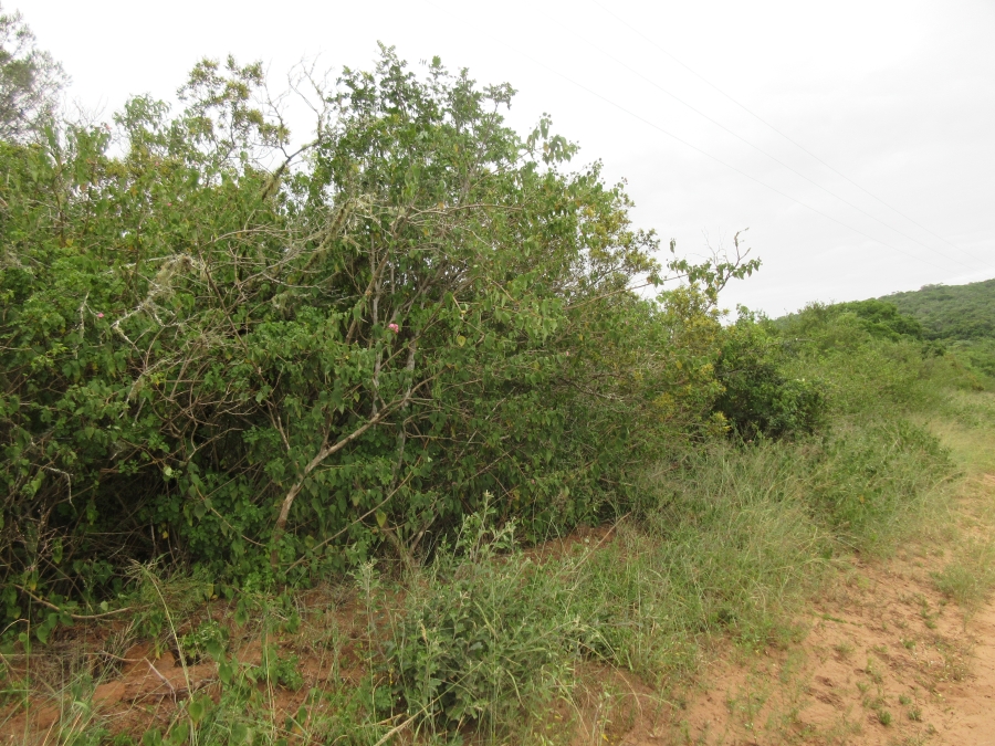 0 Bedroom Property for Sale in Bathurst Eastern Cape